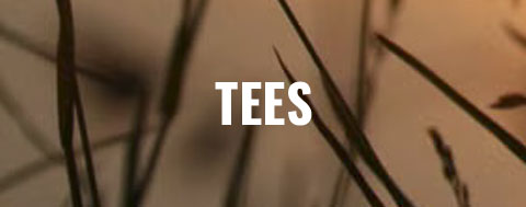 TEES